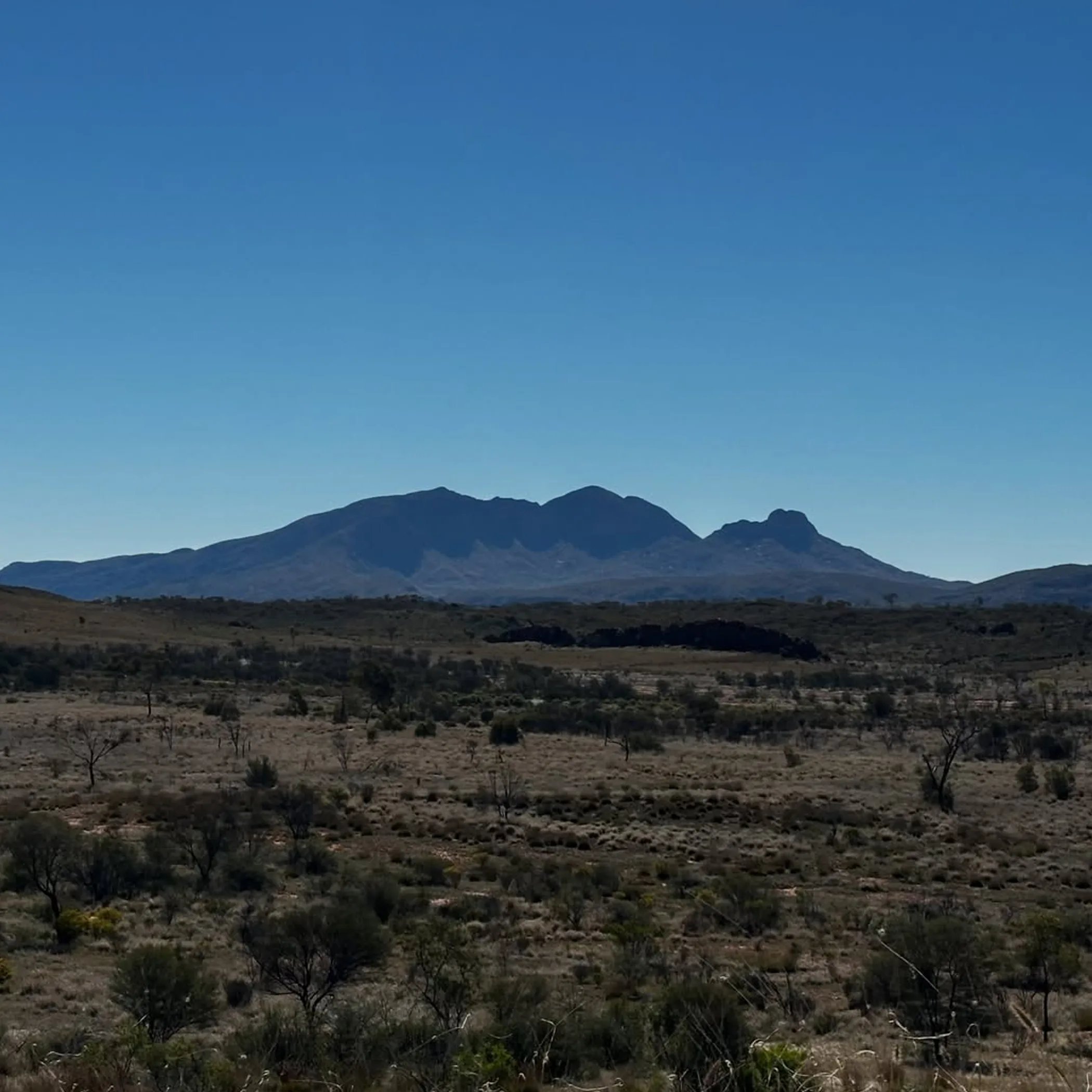 mount sonder and larapinta trail setting