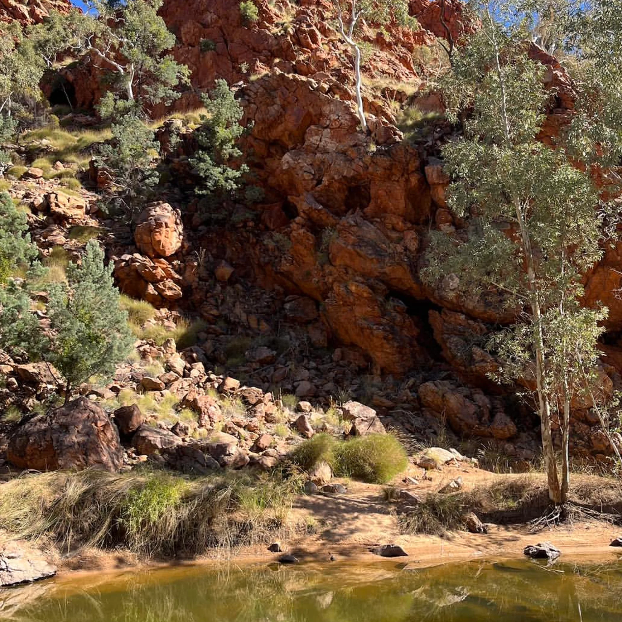 west macdonnell trail waterhole scenery
