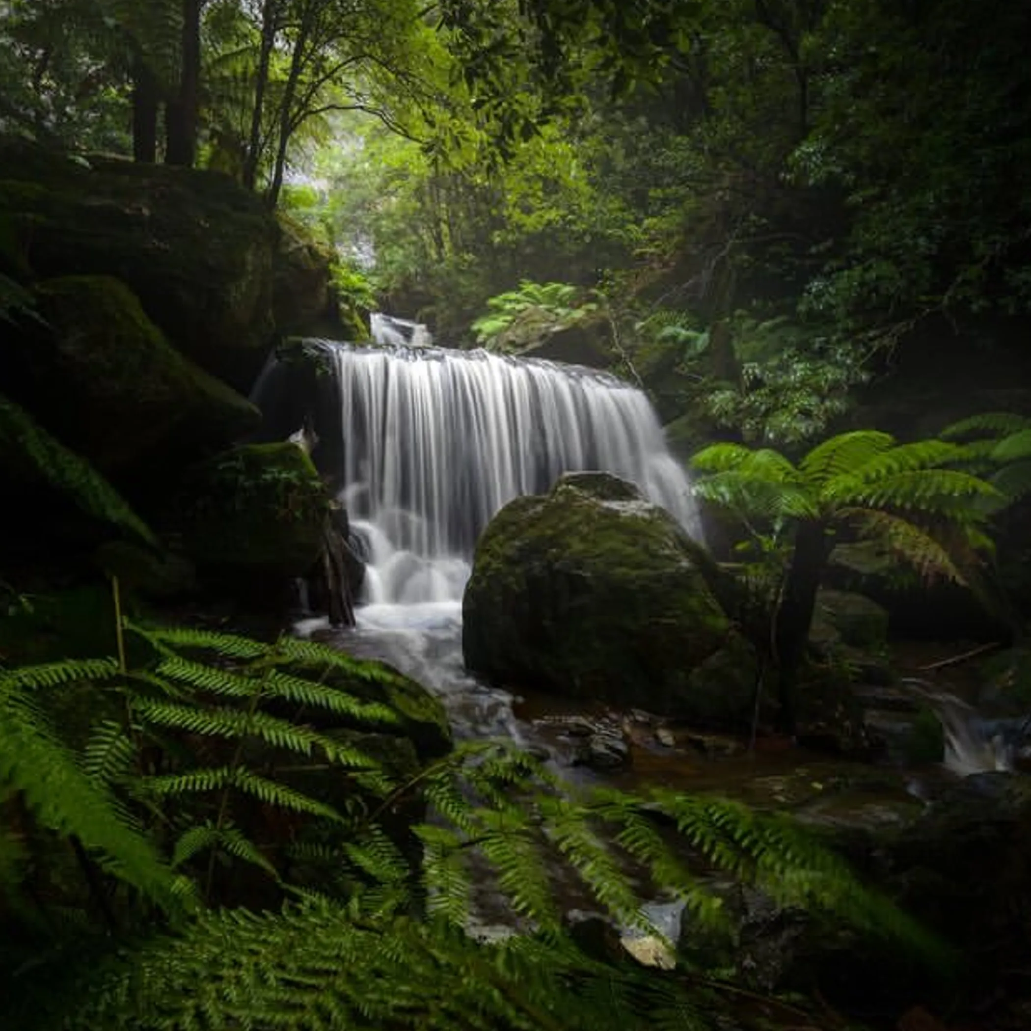 blue mountains waterfall and rainforest