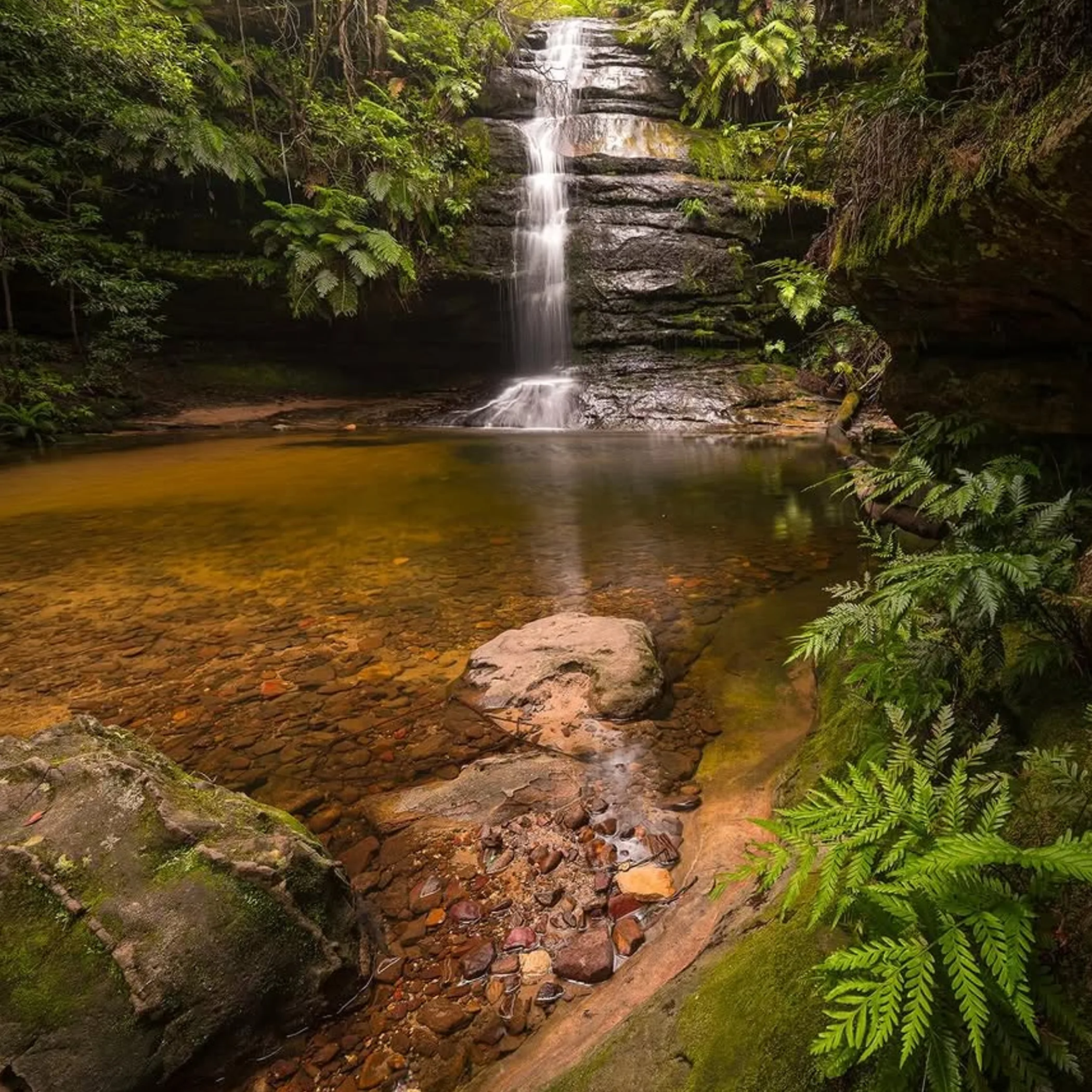 blue mountains waterfall scene