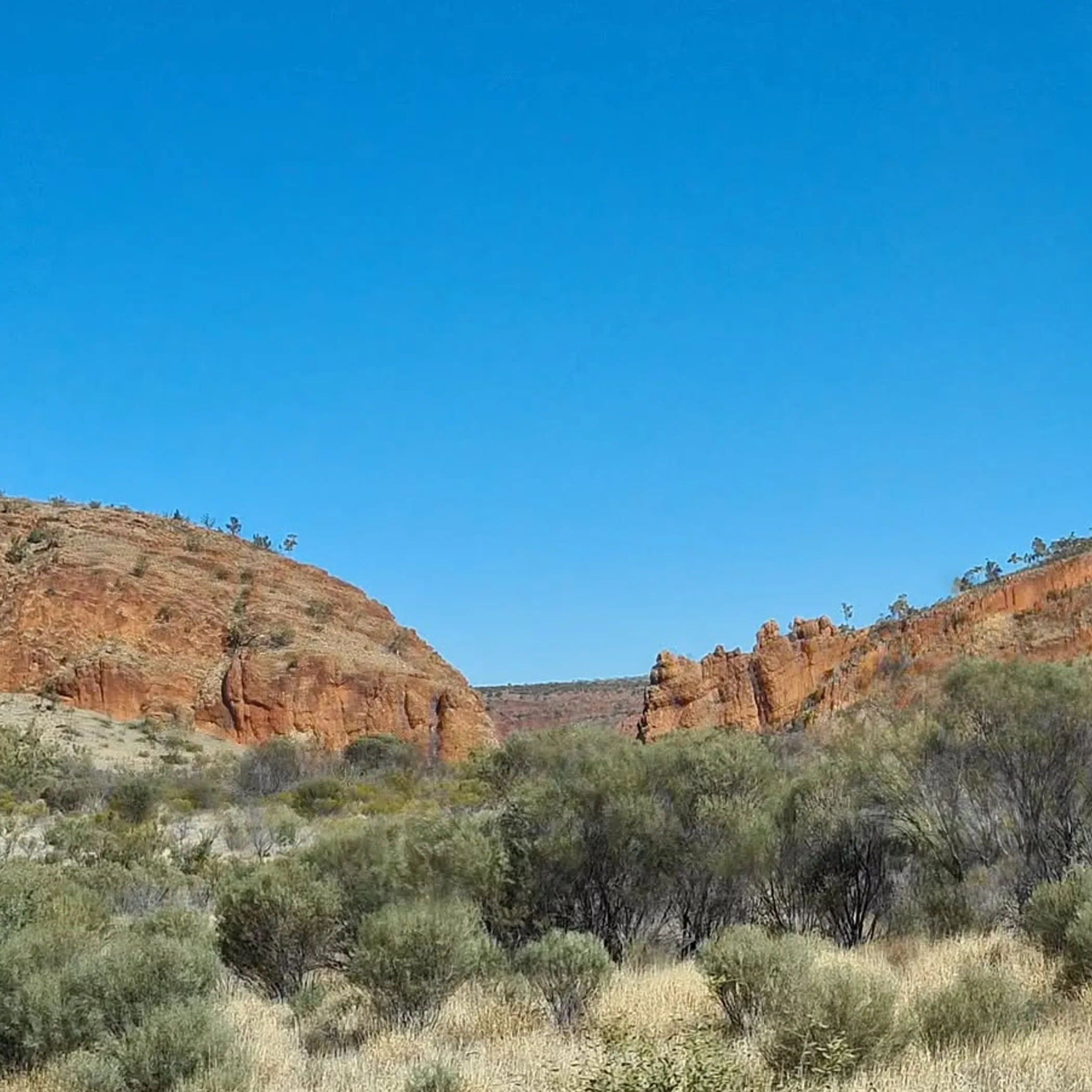 clear trail landscape
