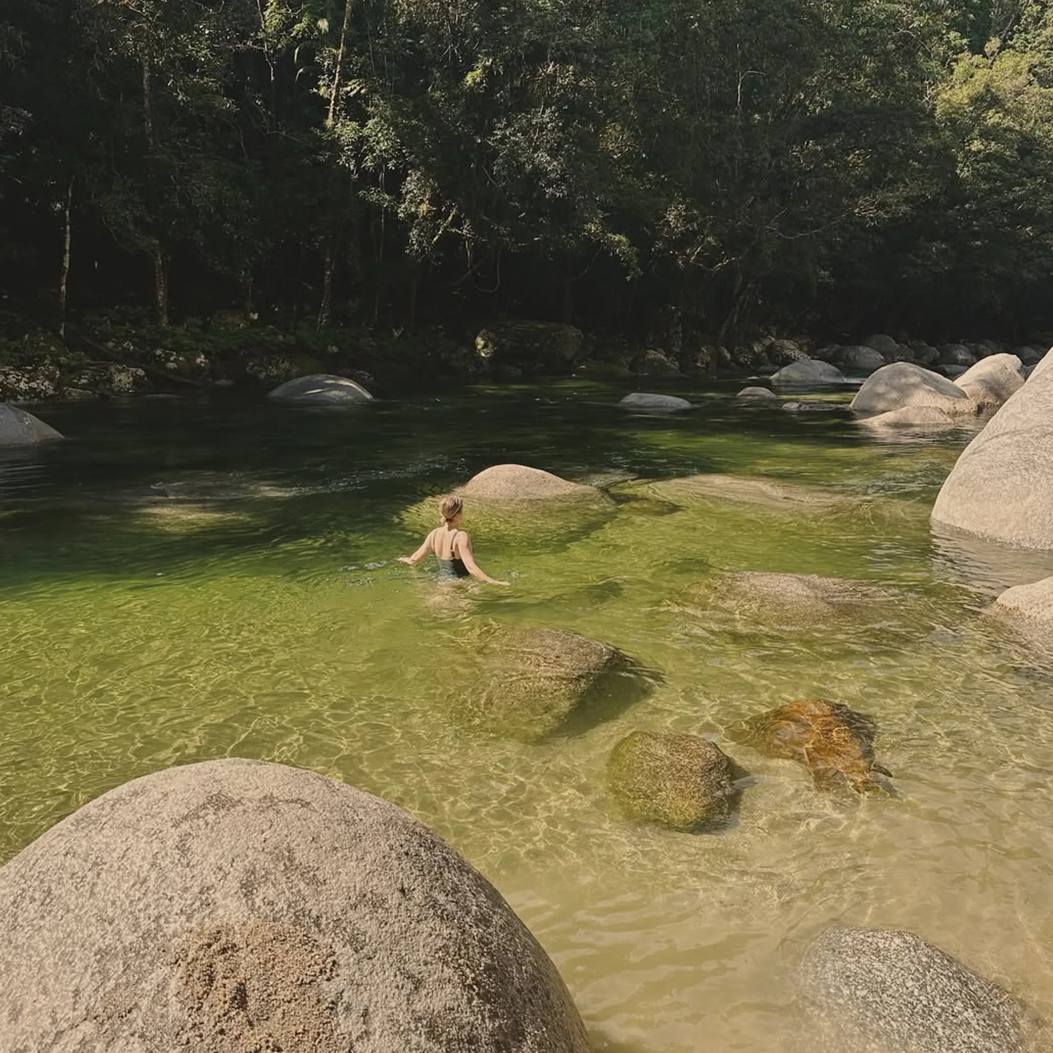 rainforest boulders and swimming water