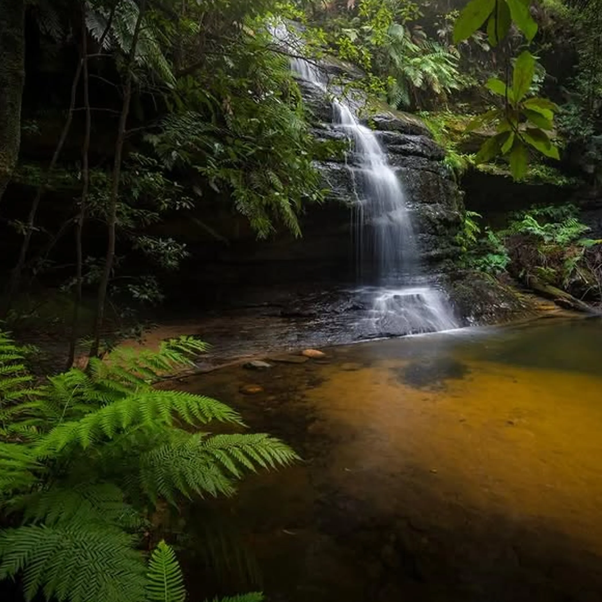 blue mountains waterfall attraction