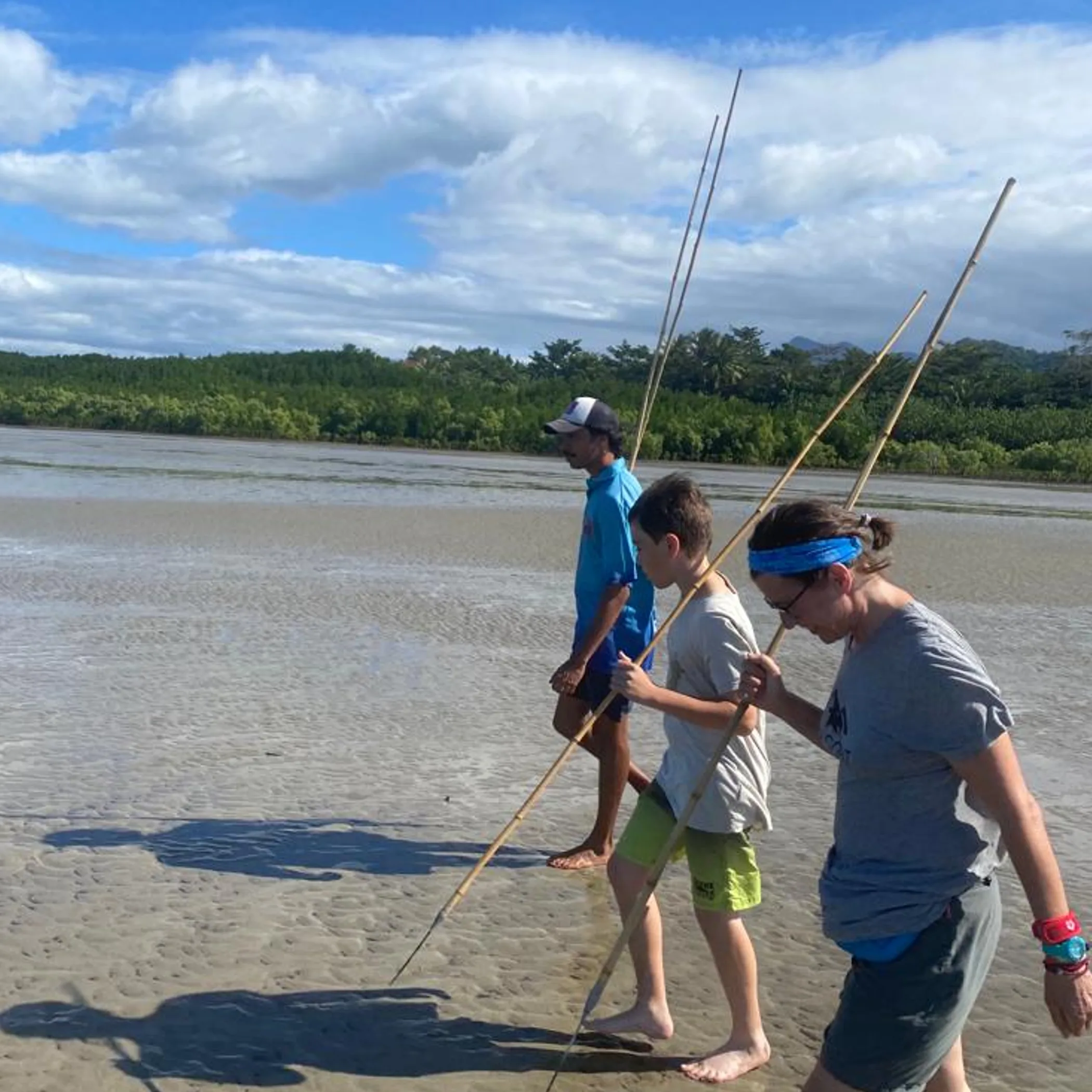 people traversing daintree mudflats with poles
