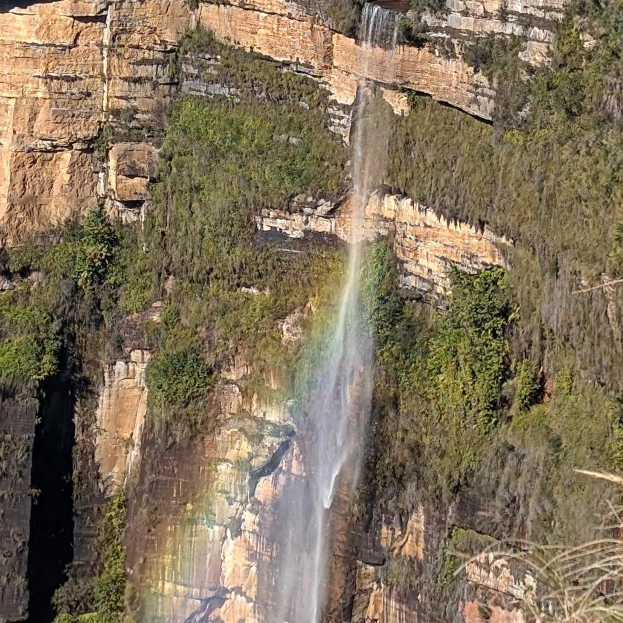 scenic waterfall near blue mountains attractions
